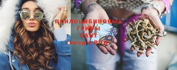 твердый Богородск