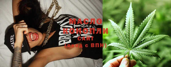 твердый Богородск